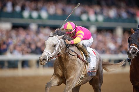 twinspires belmont stakes|2023 Belmont Stakes Contenders: Official Entries, Top Horses .